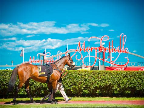 morphettville race fields